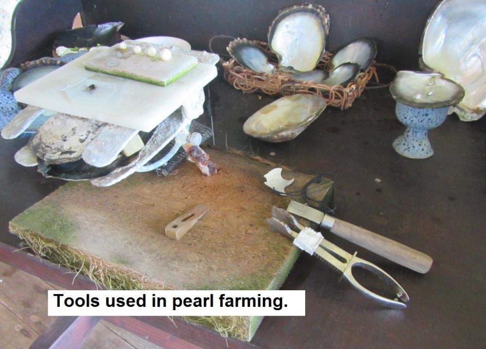 Tools used to fertilize the pearl